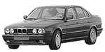 BMW E34 B113F Fault Code